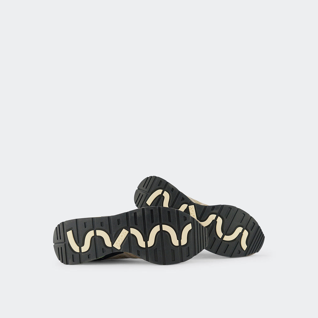 #color_funghi-purple