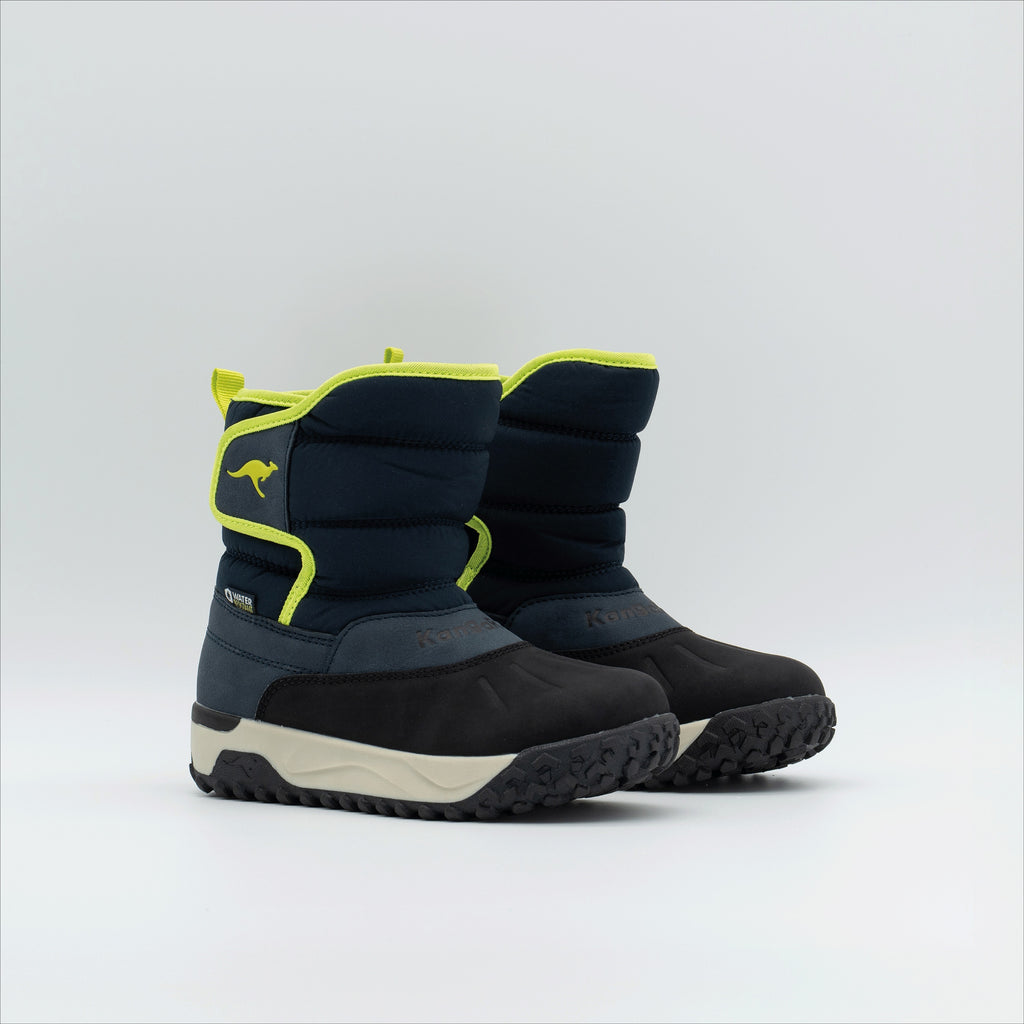 #color_dk-navy-lime