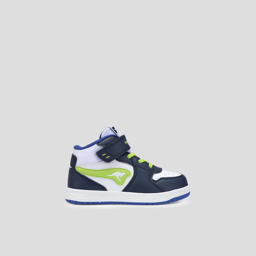 #color_dk-navy-lime
