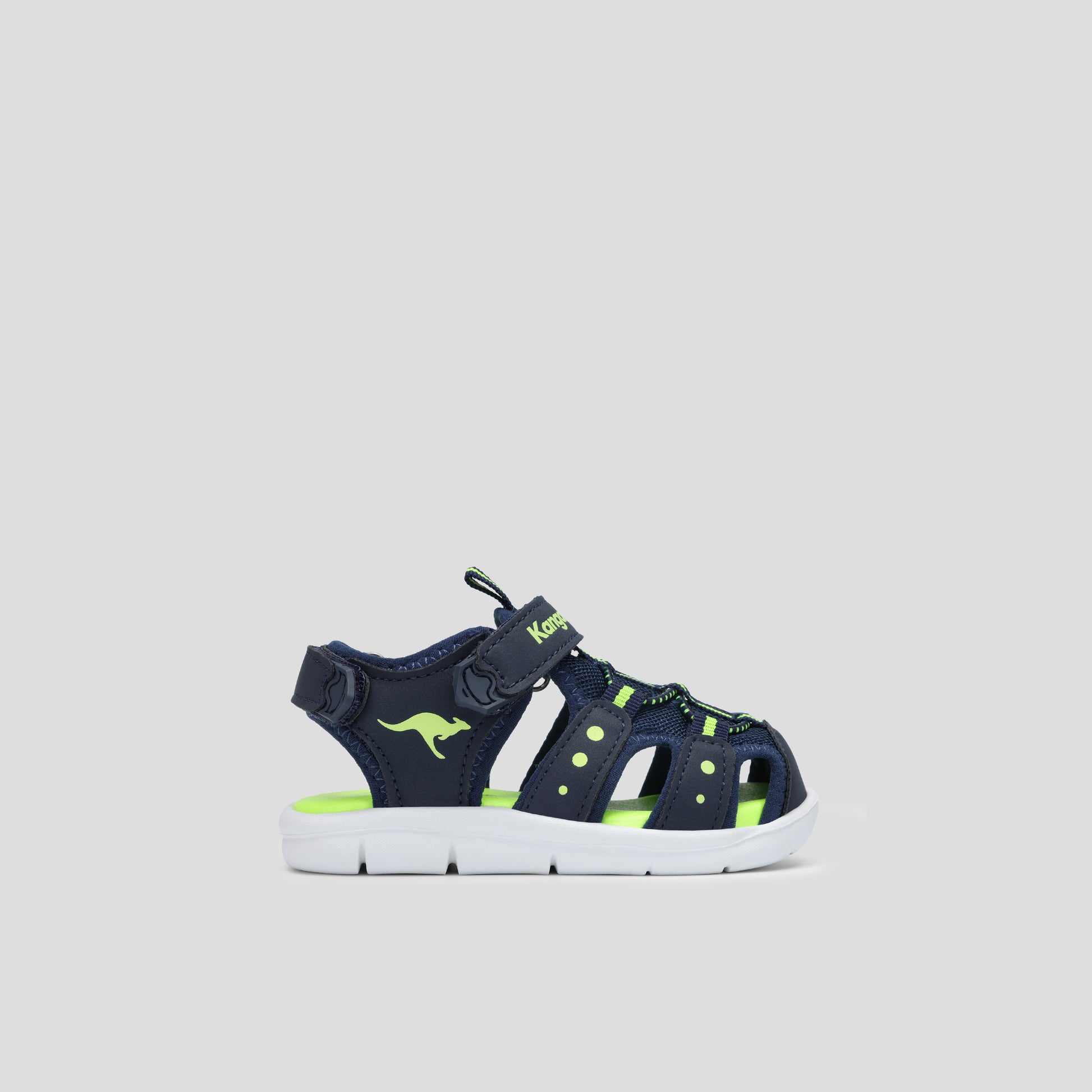 #color_dk-navy-lime