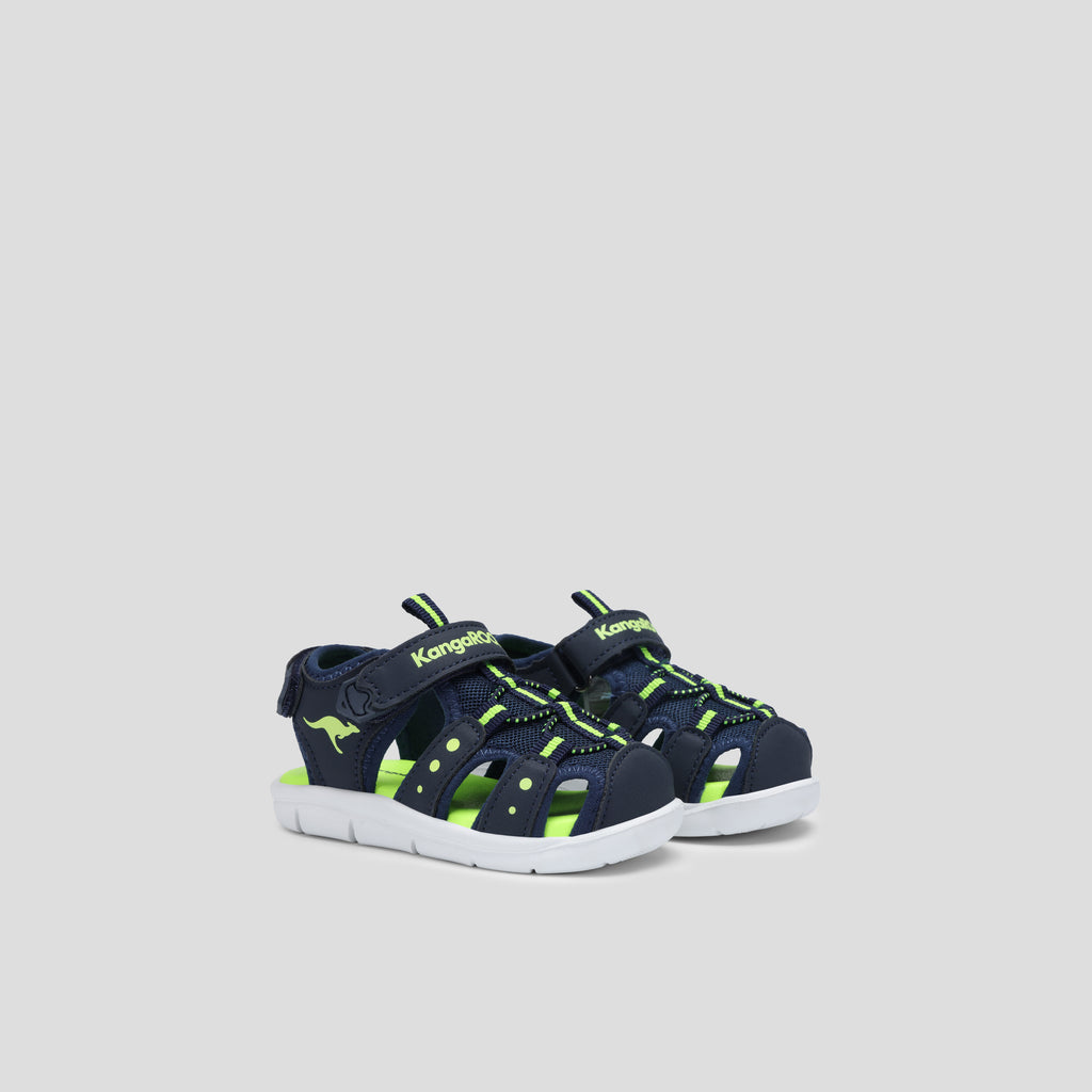 #color_dk-navy-lime