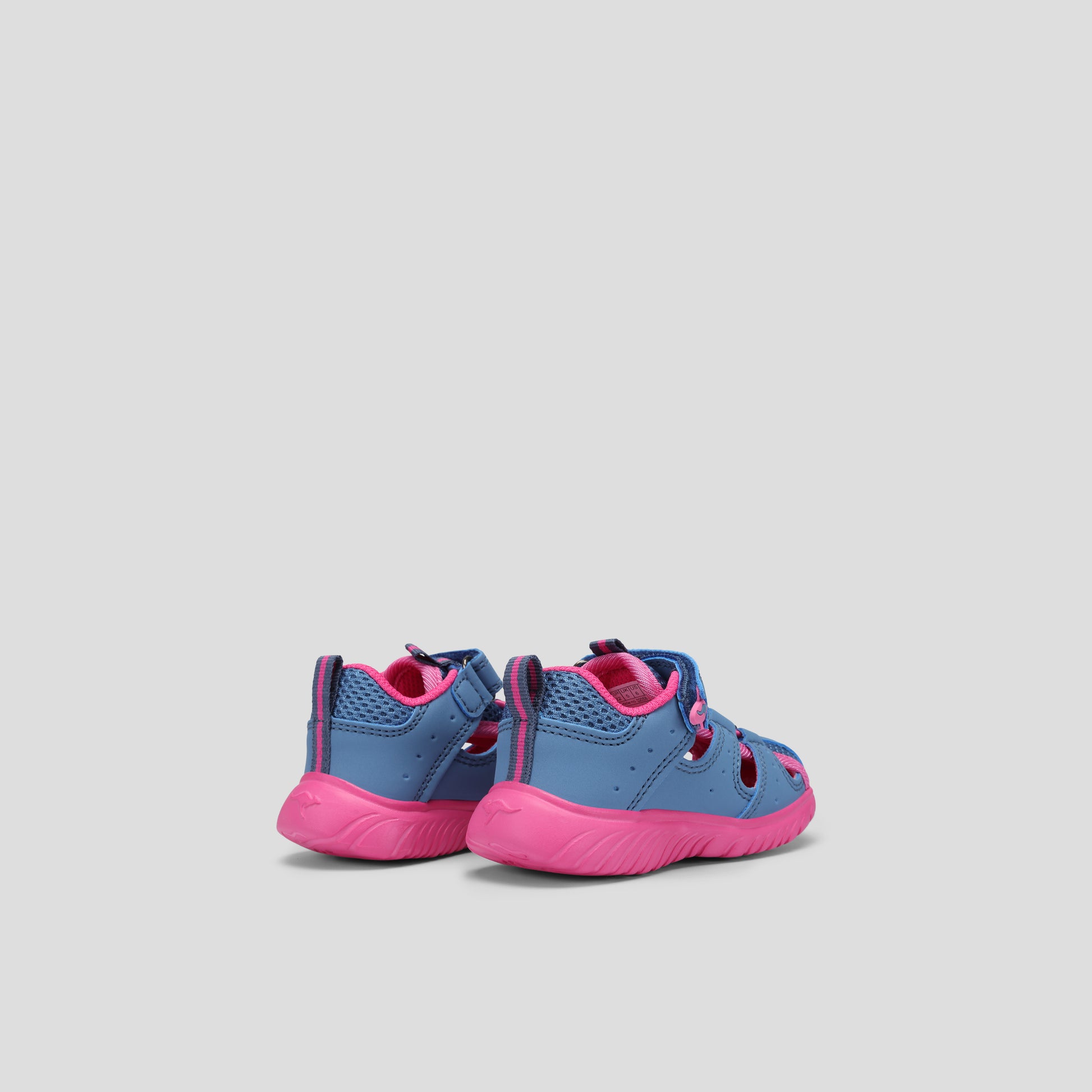 #color_midnight-blue-daisy-pink-oc