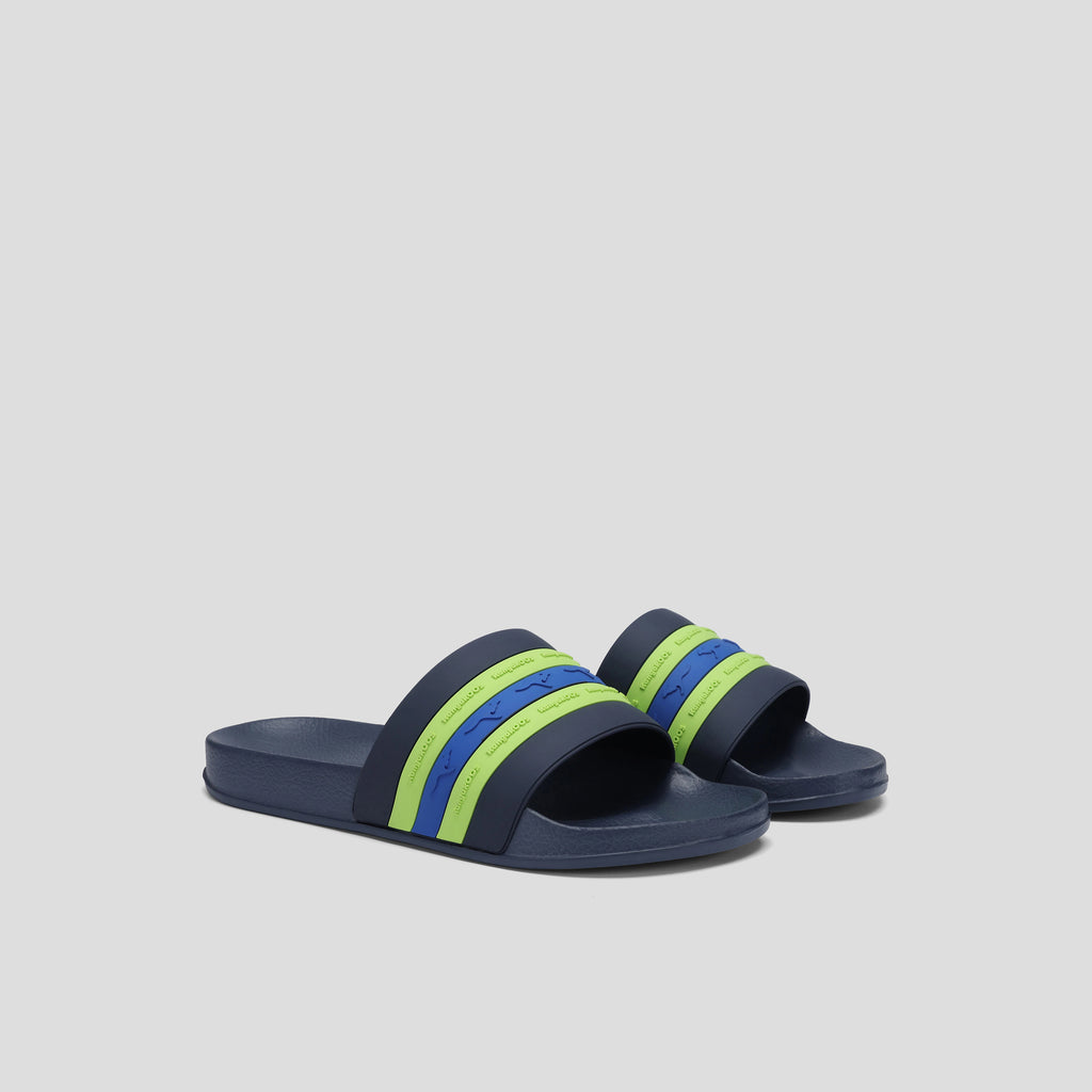 #color_dk-navy-lime
