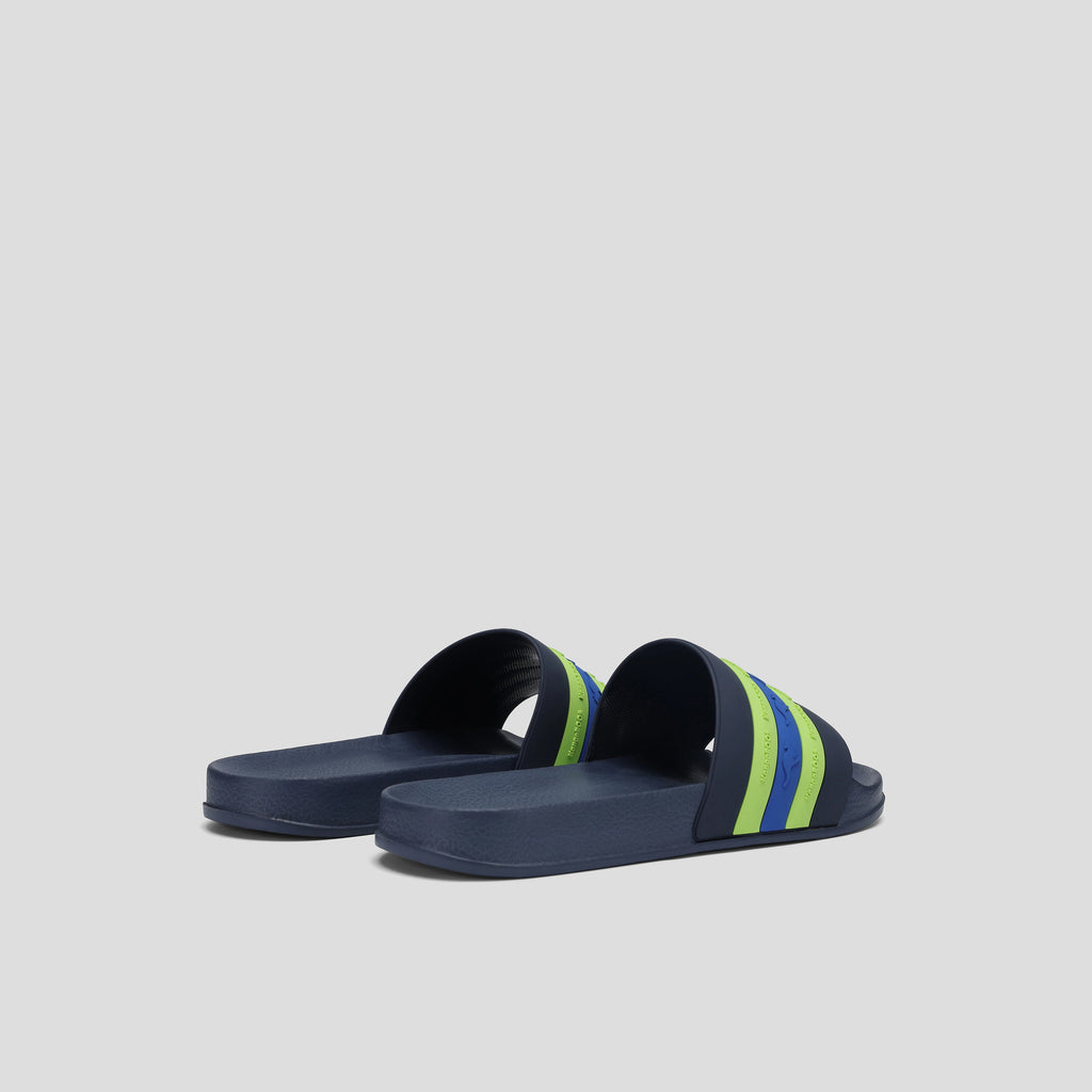 #color_dk-navy-lime