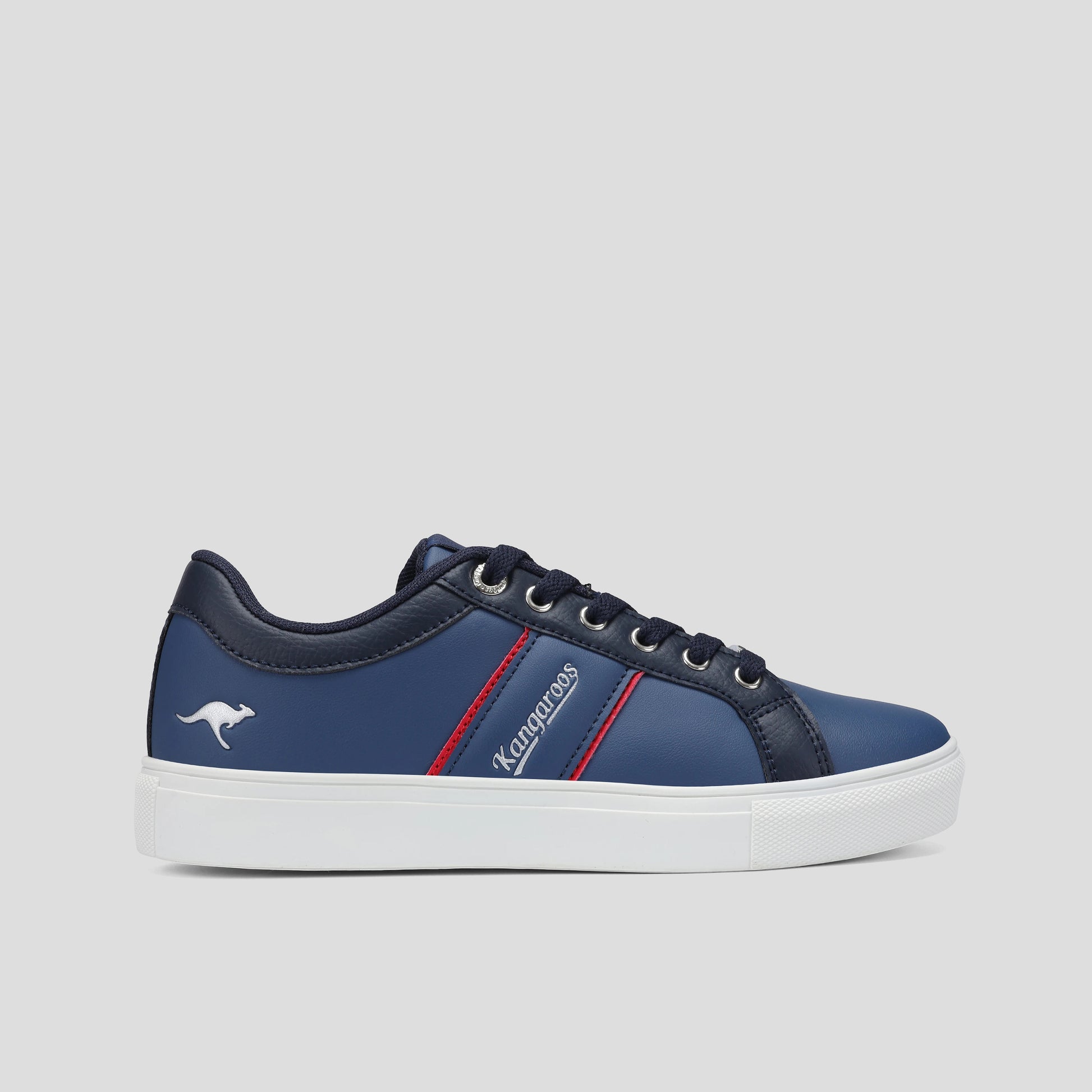 #color_dk-navy-silver