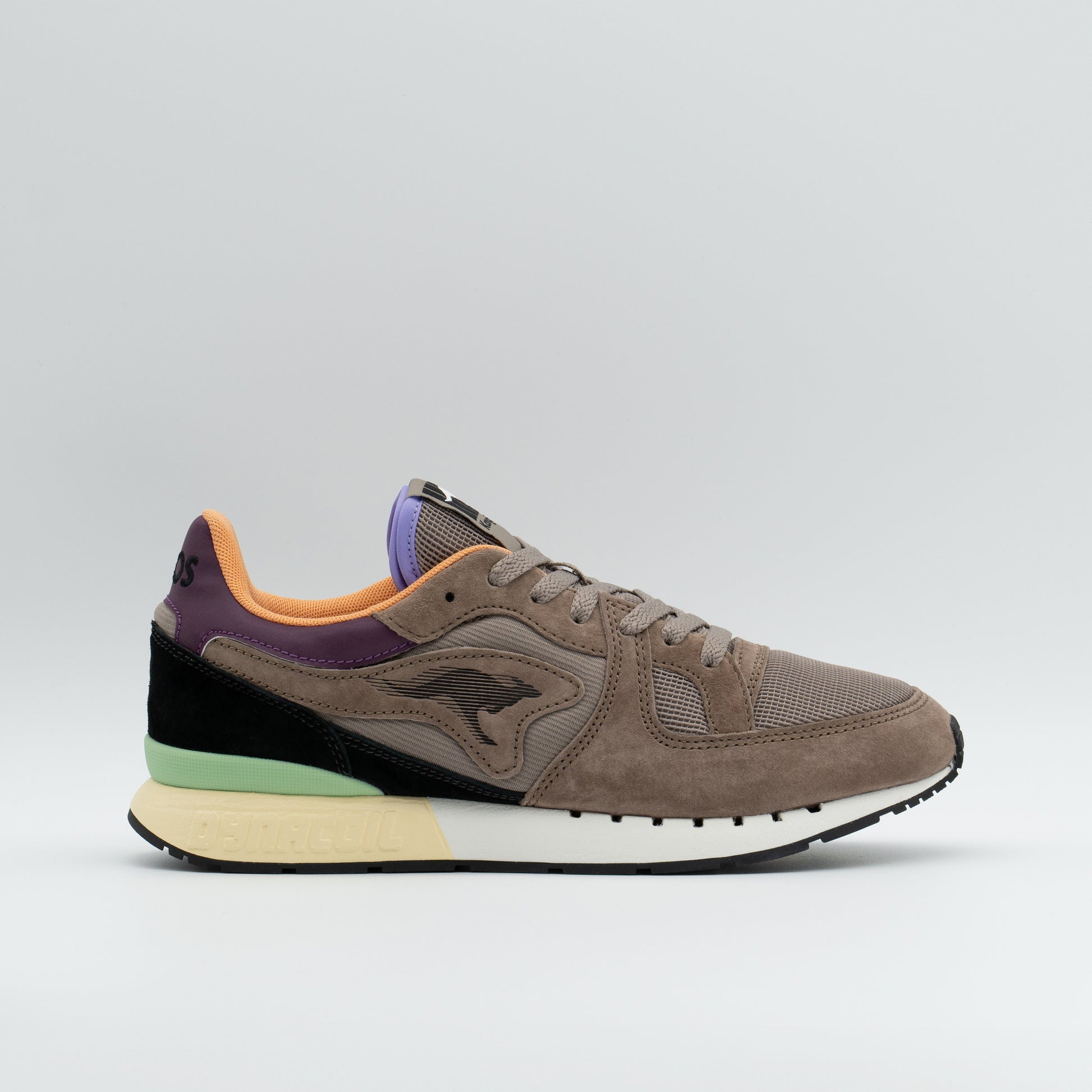#color_funghi-purple