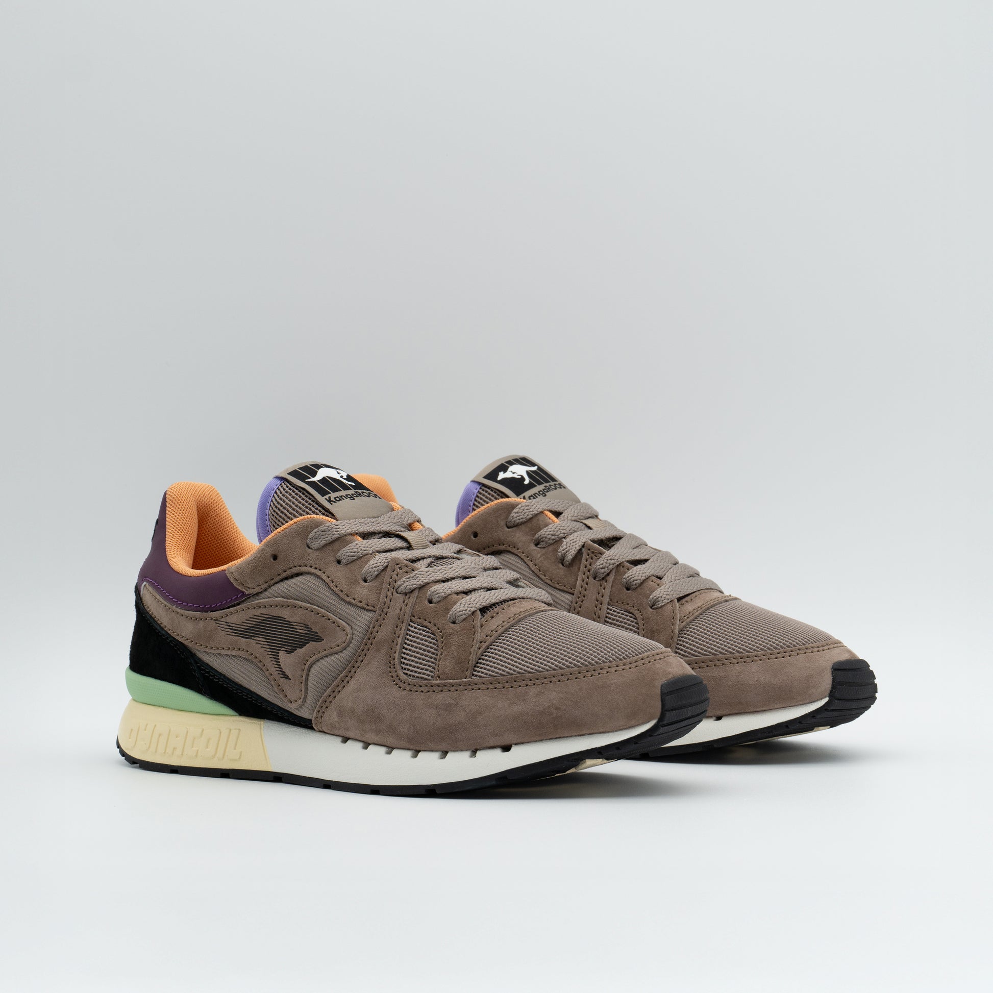 #color_funghi-purple