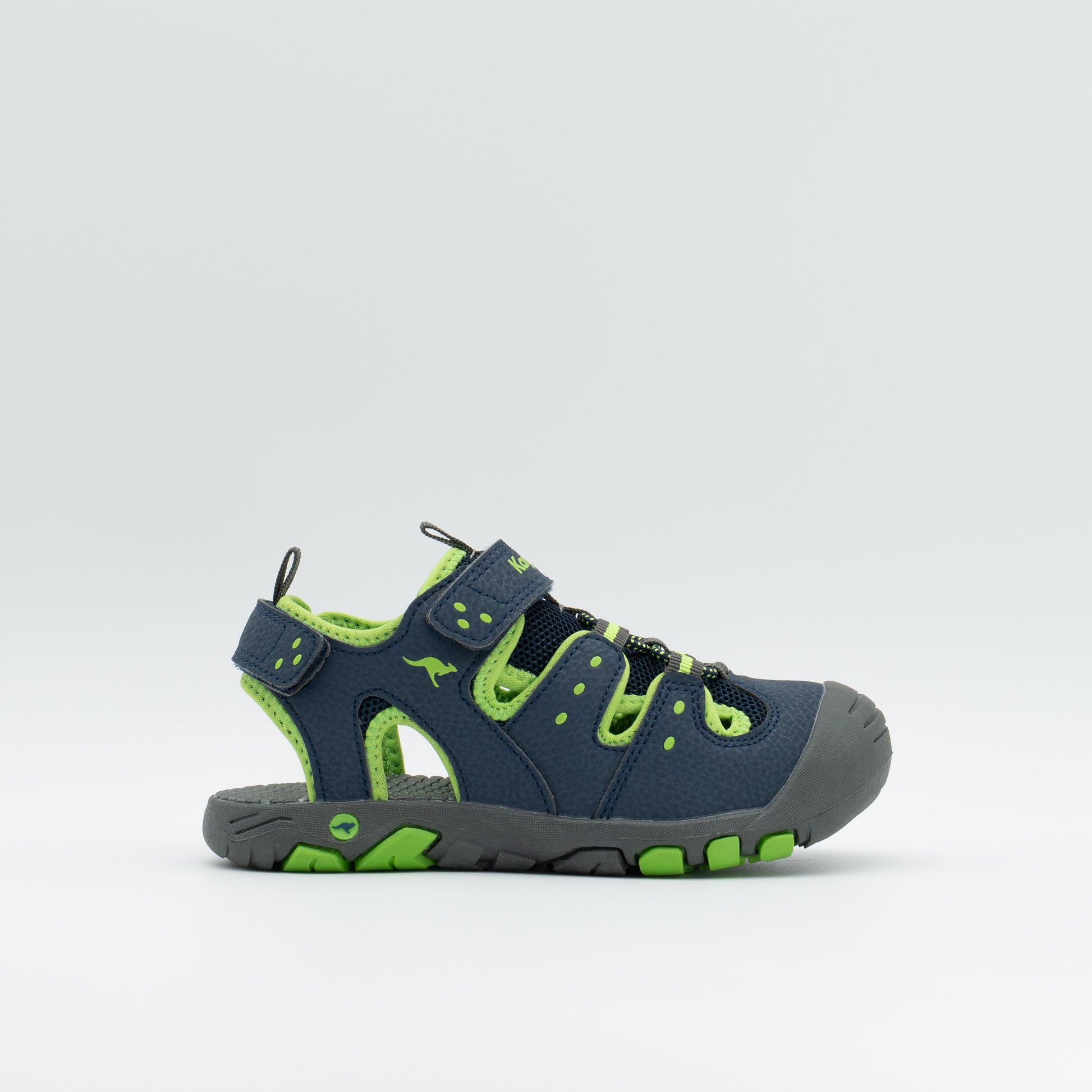 #color_dk-navy-lime