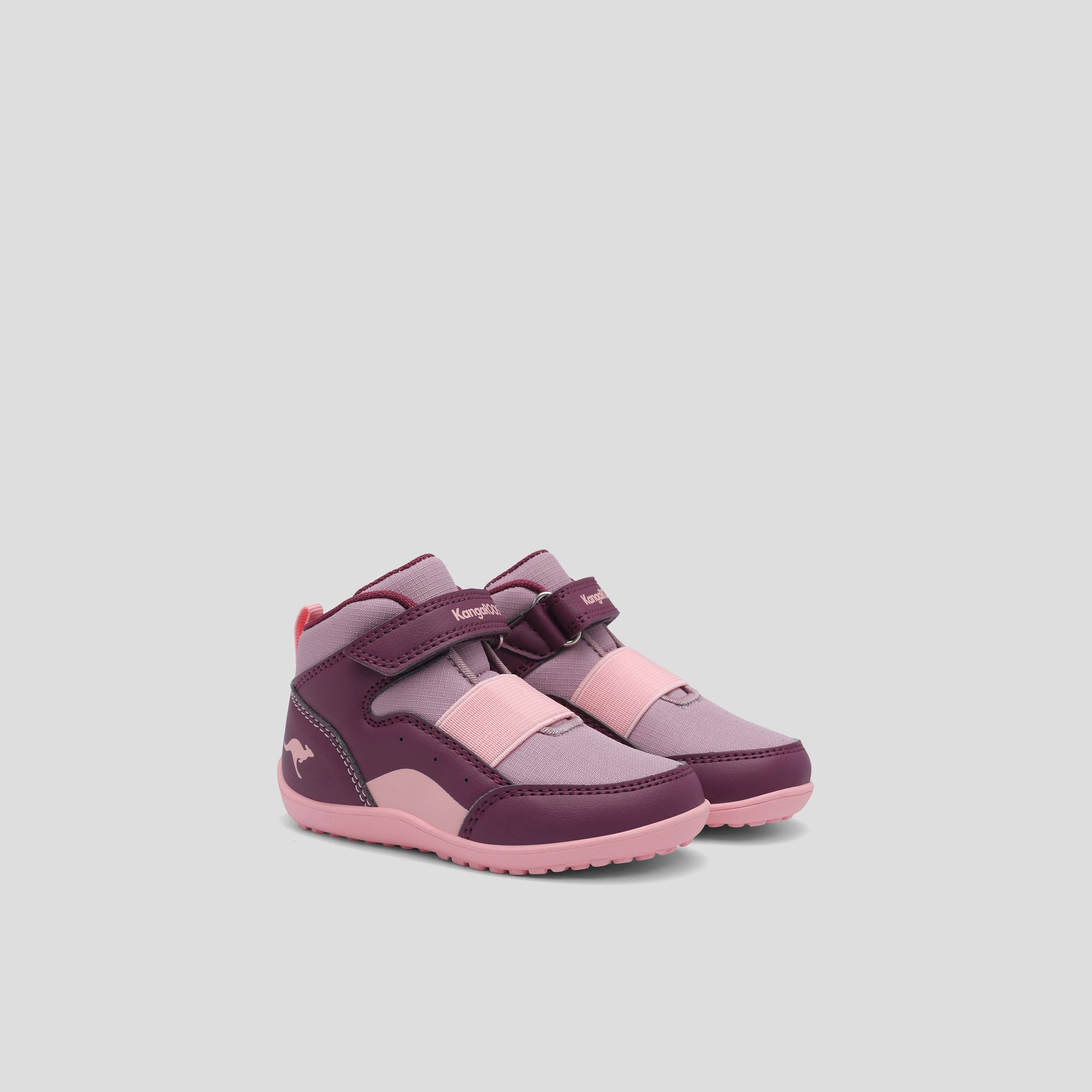 #color_blackberry-daisy-pink